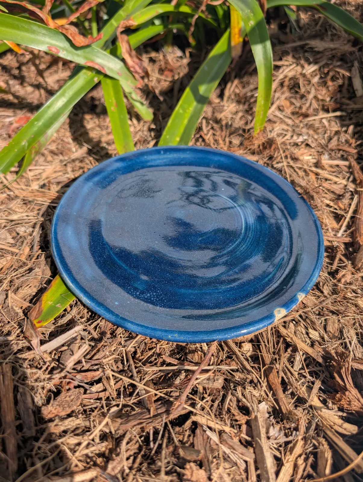 Plate Expectations