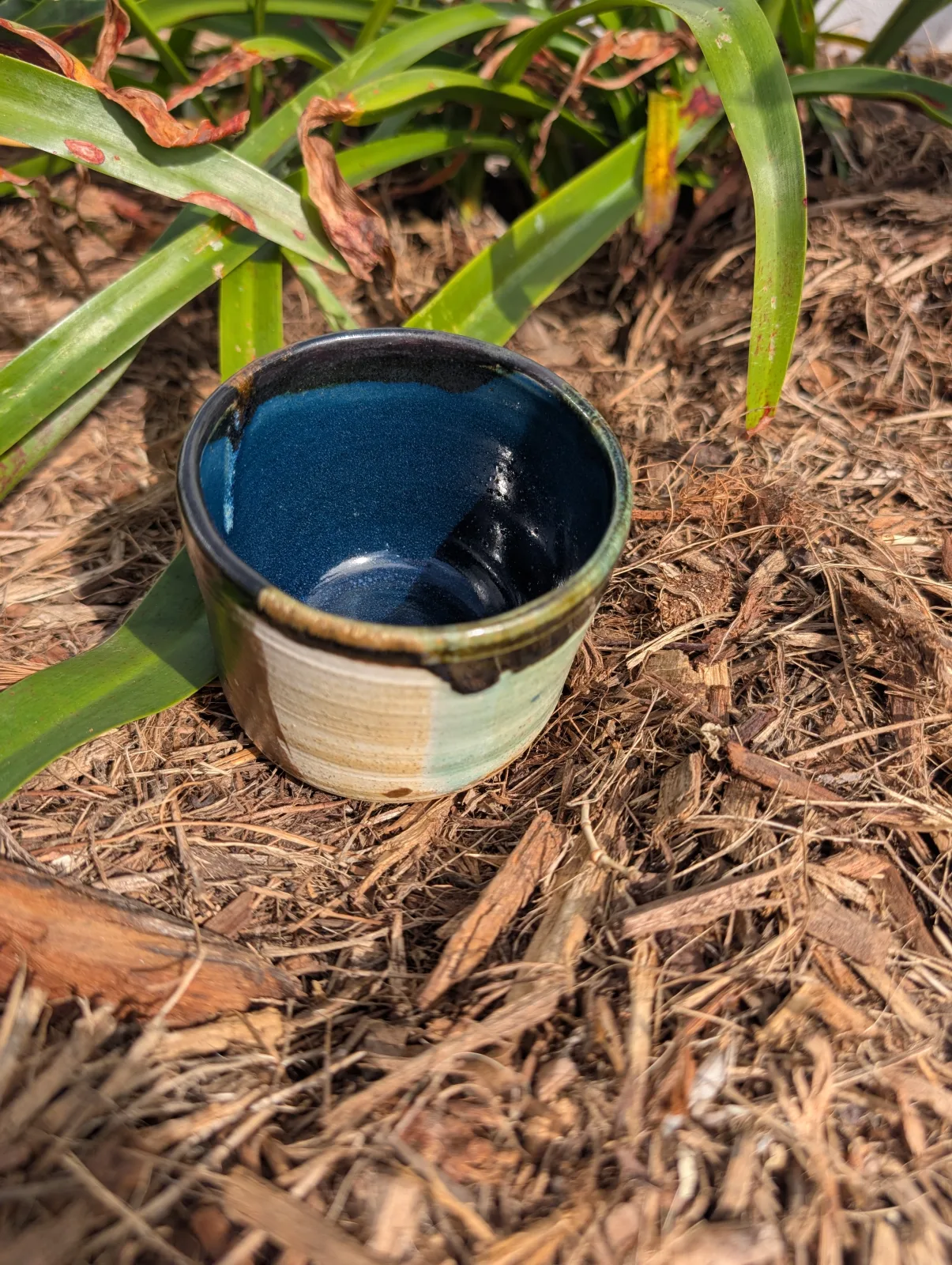 Paintbox Cup — view 3