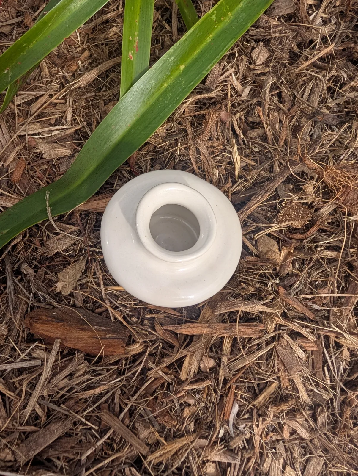 Snowdrop — view 2