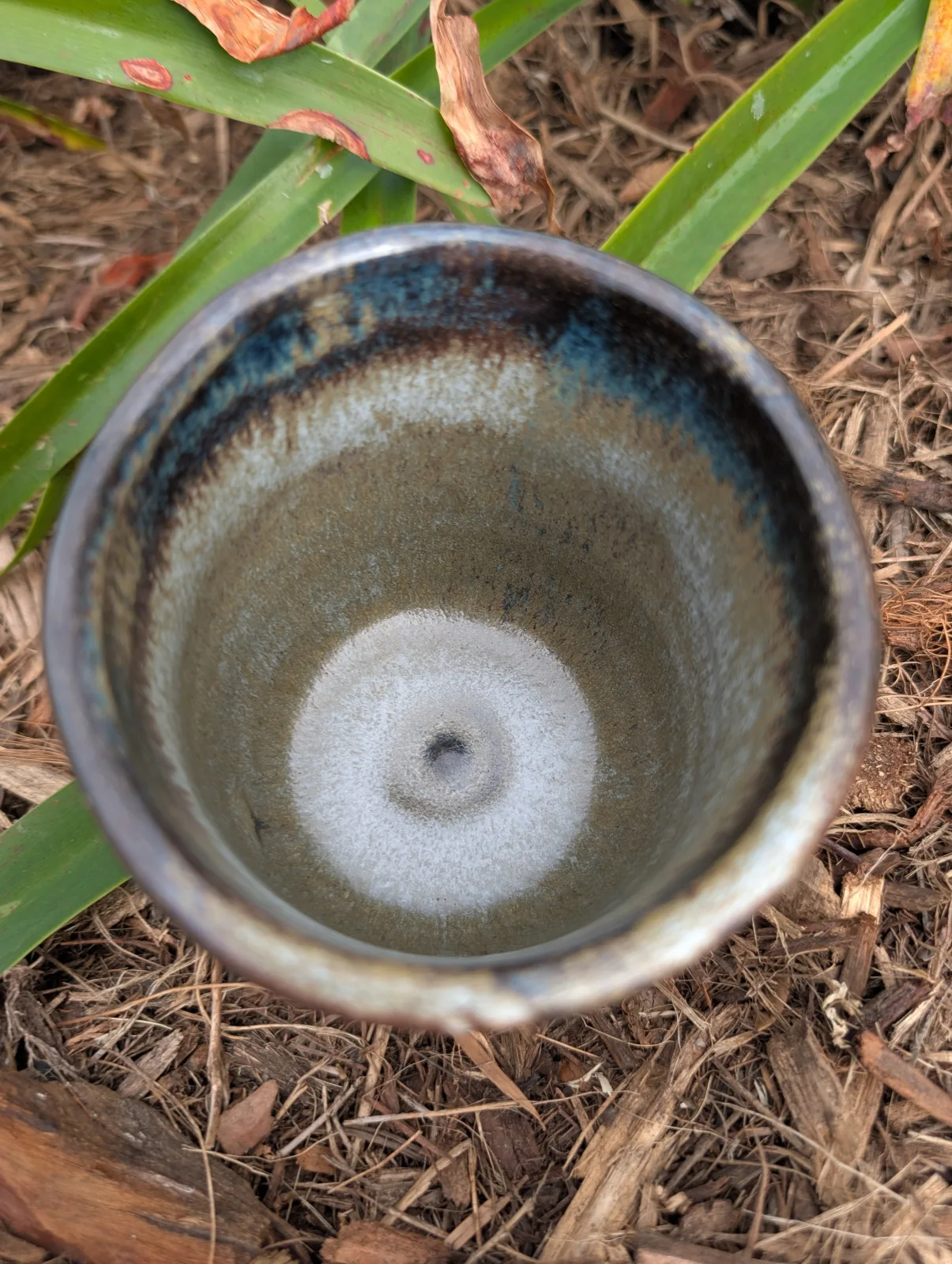 Mood Ring — view 3
