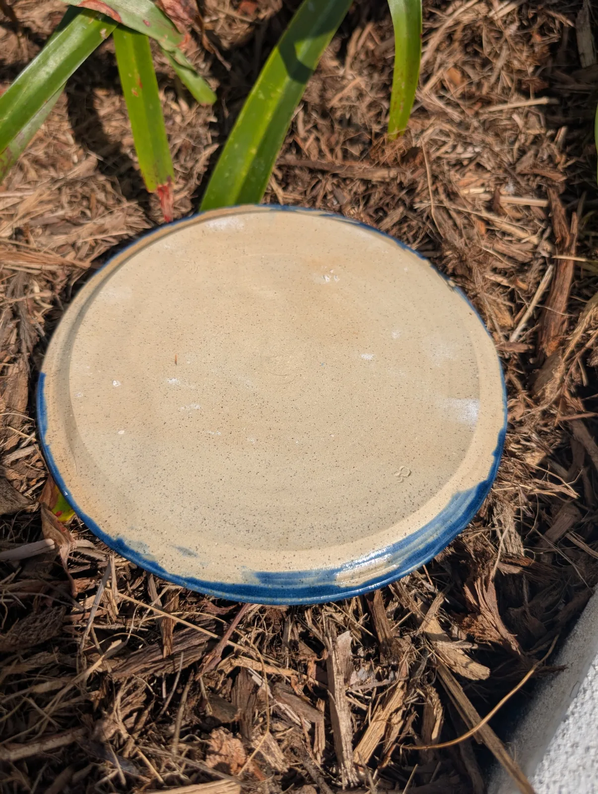 Plate Expectations — view 3
