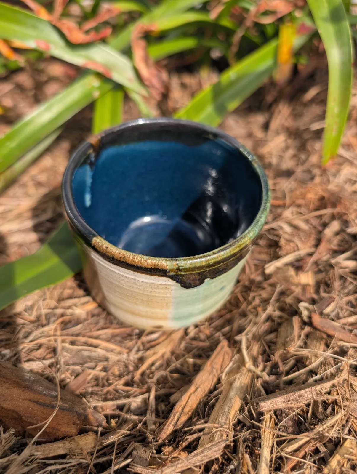 Paintbox Cup — view 2