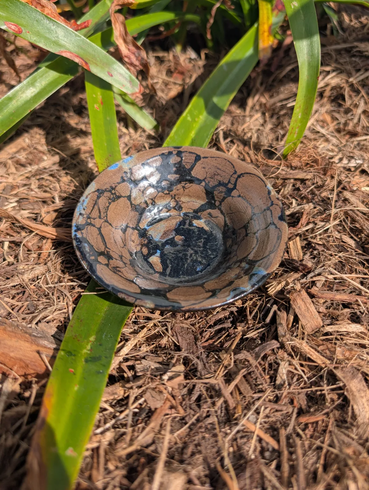 Bubbleburst Dish
