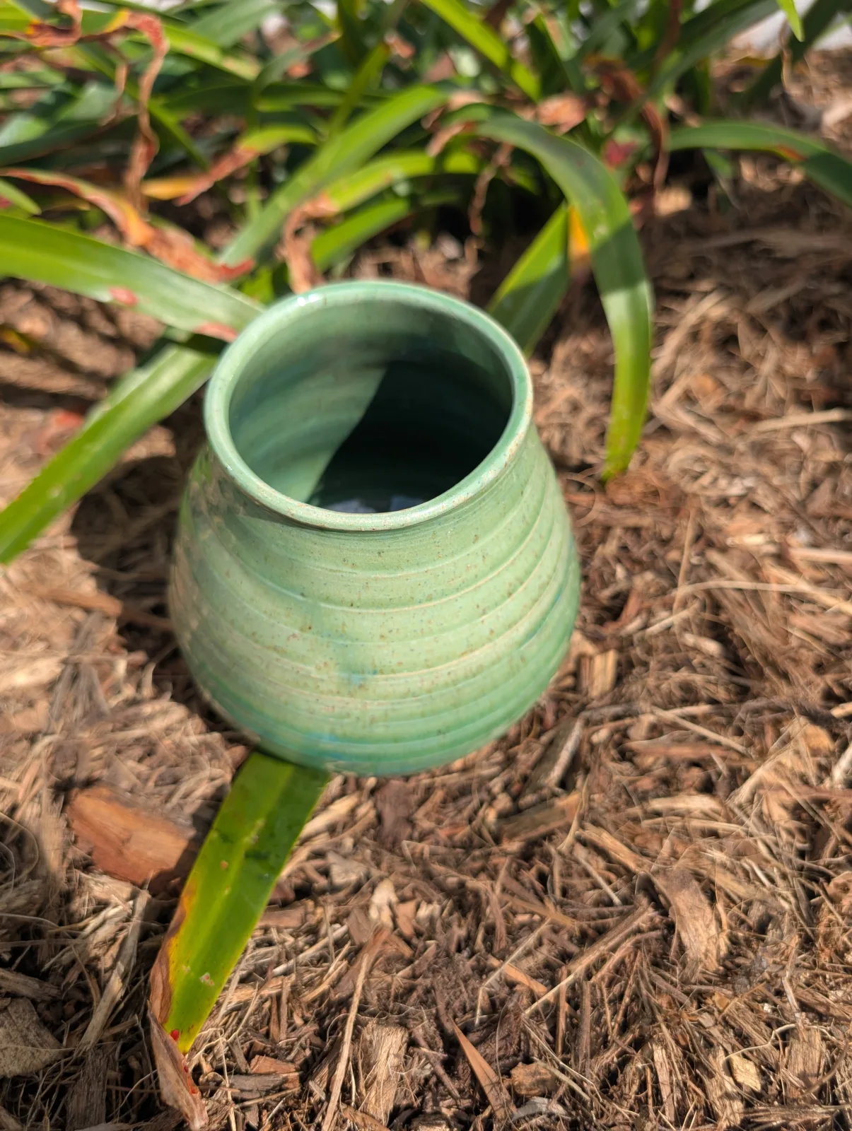 Verdigris — view 2