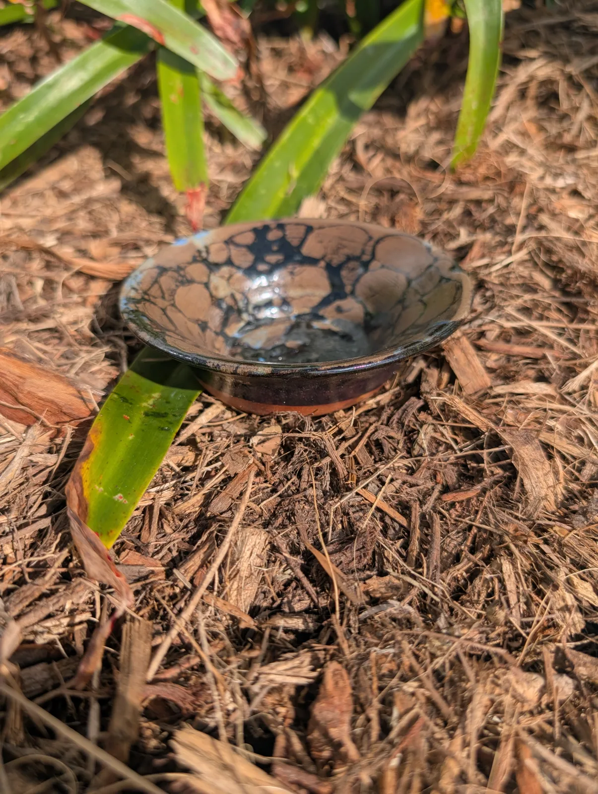 Bubbleburst Dish — view 2