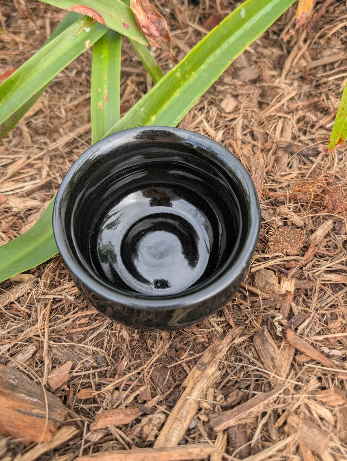 Pocket Cauldron — view 3
