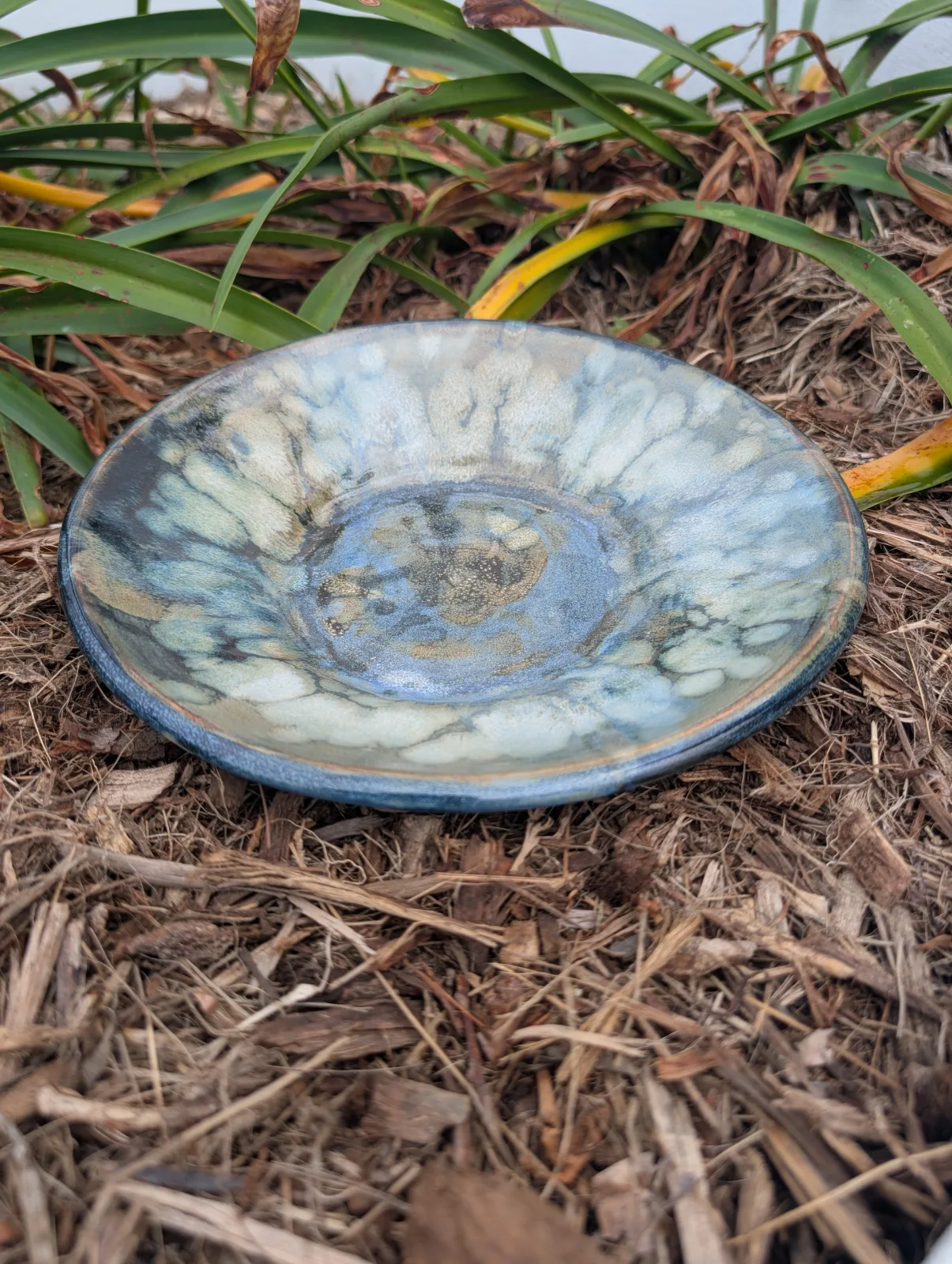 Full Bloom — view 2