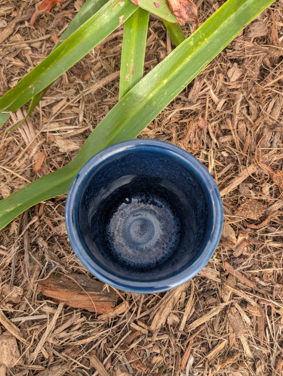 Deep Field — view 2