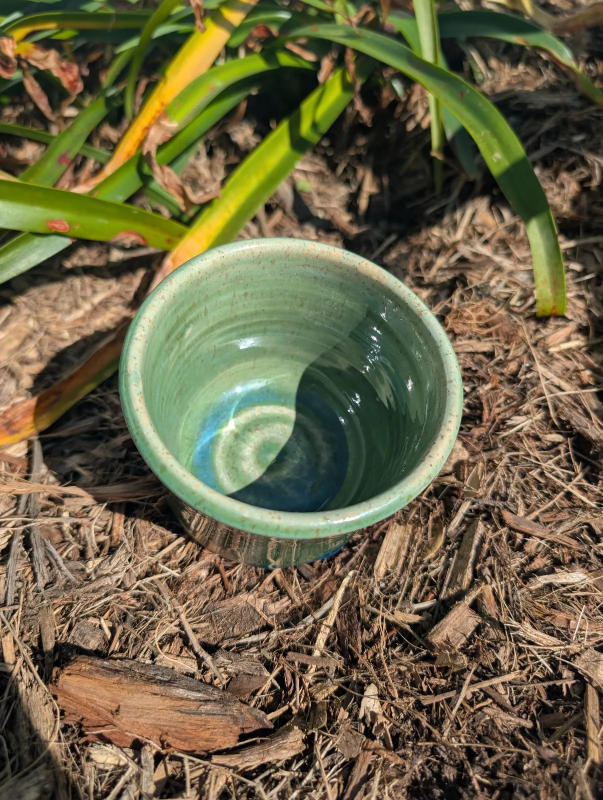 Greenhouse — view 2