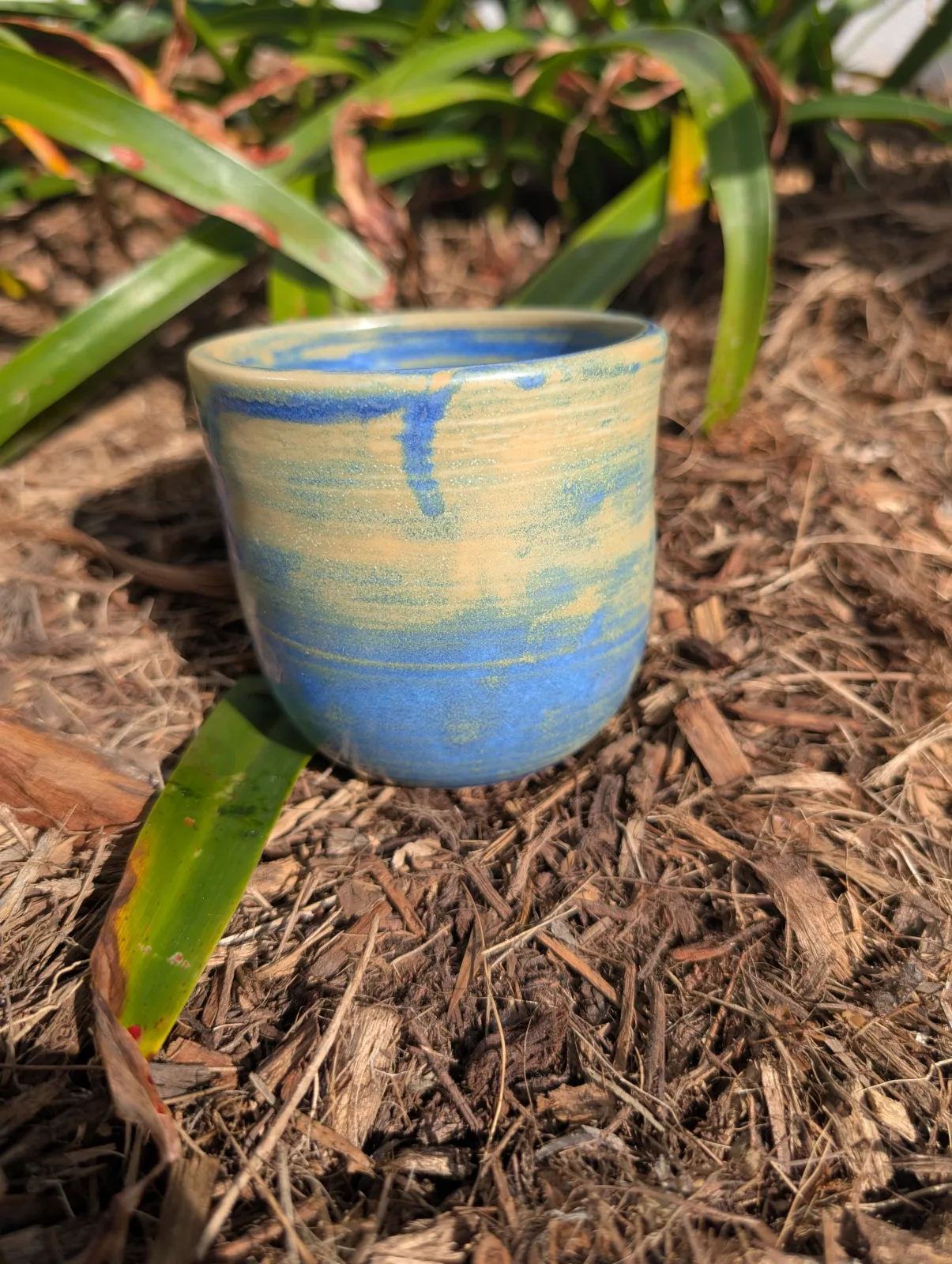 Once in a Blue Mug