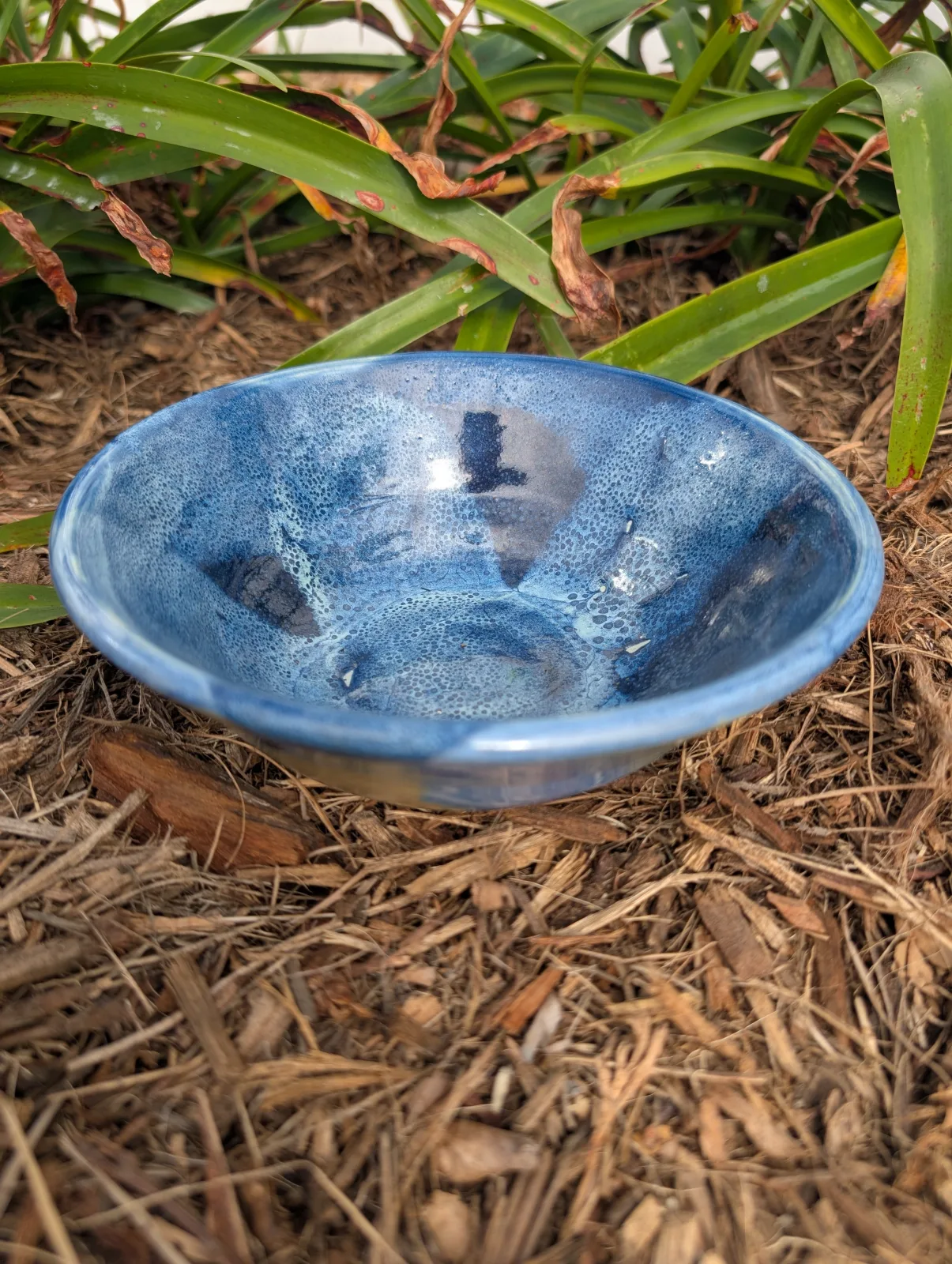 First Frost