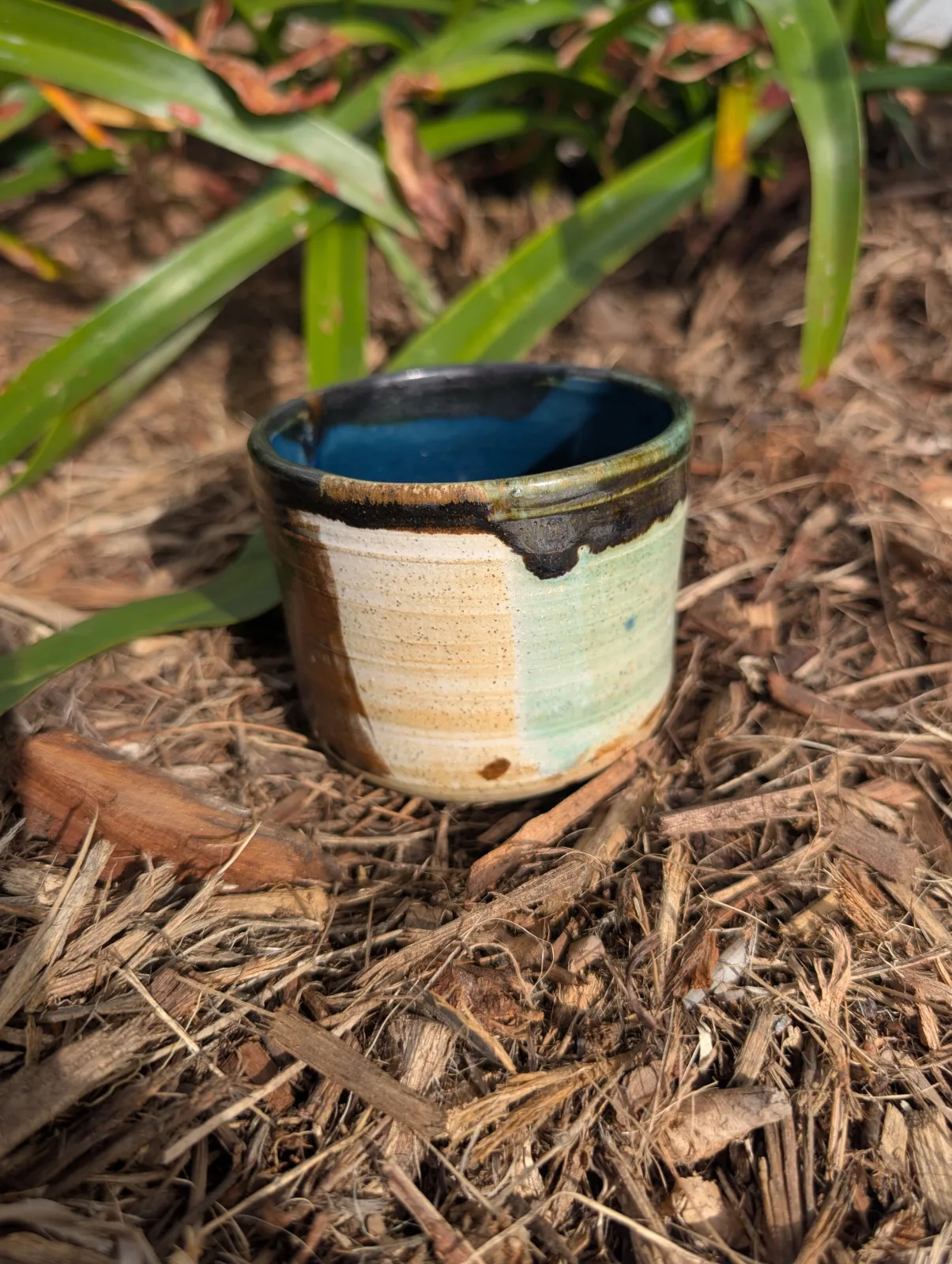 Paintbox Cup
