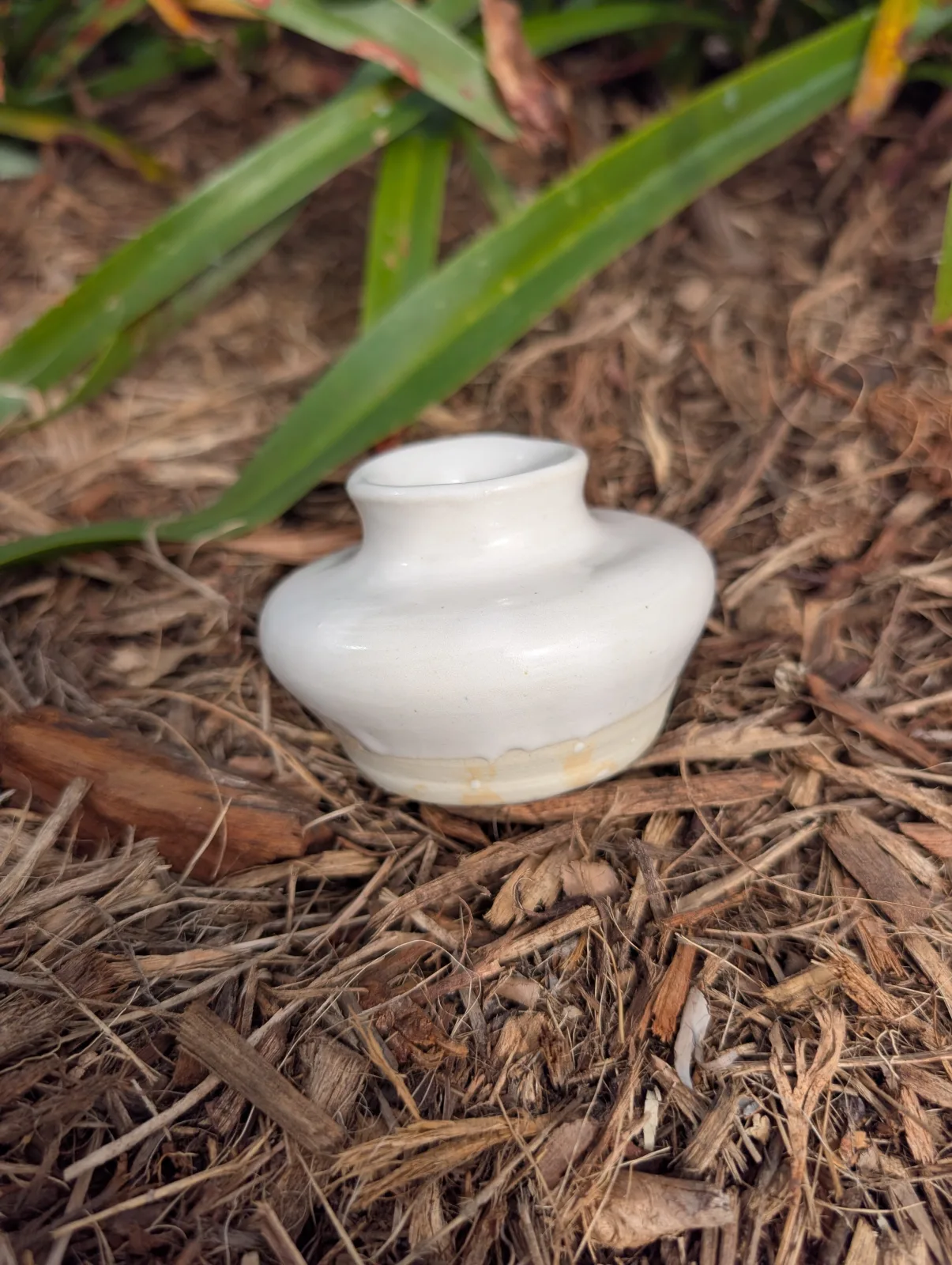 Snowdrop — view 3