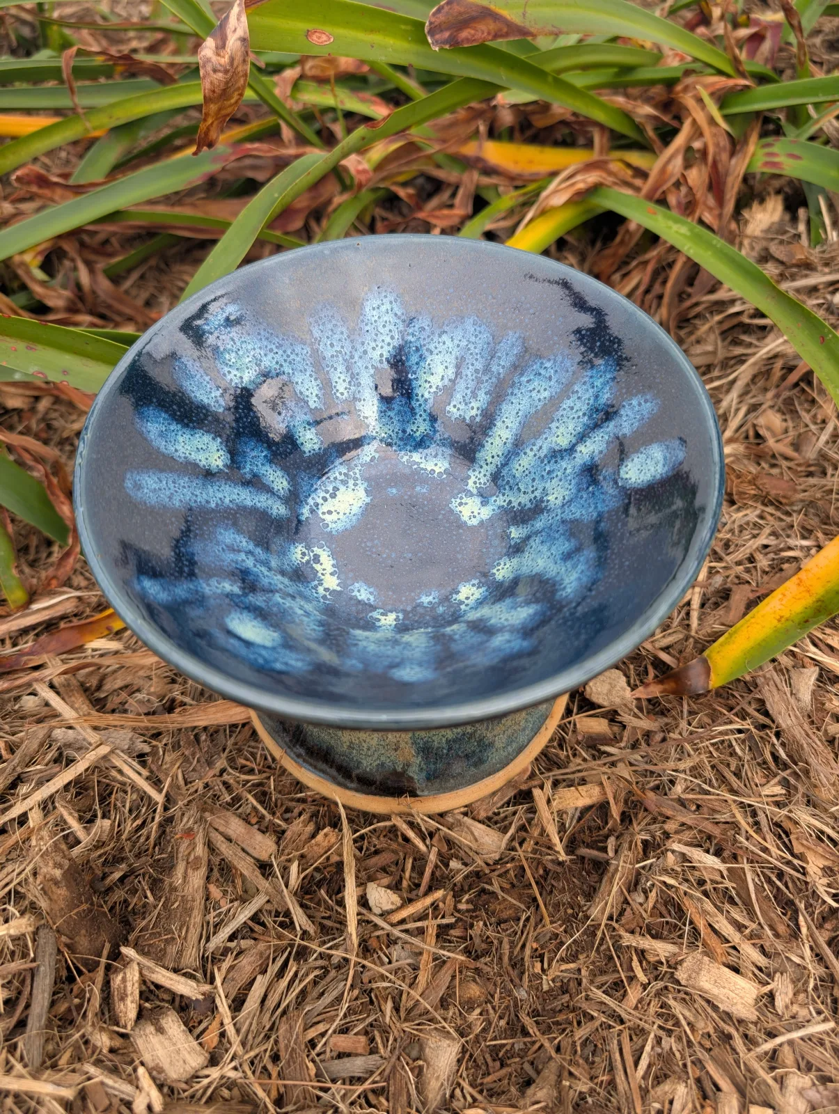 Joined at the Hip — view 2