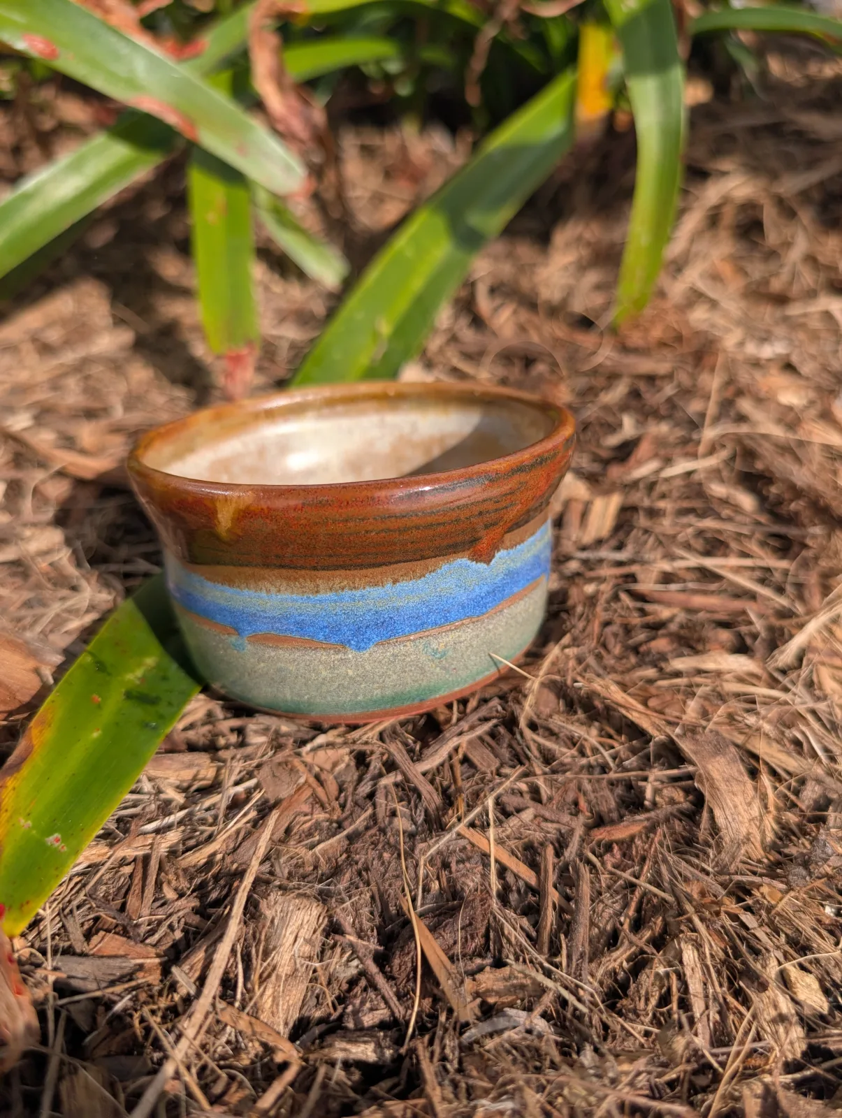 Little Horizon