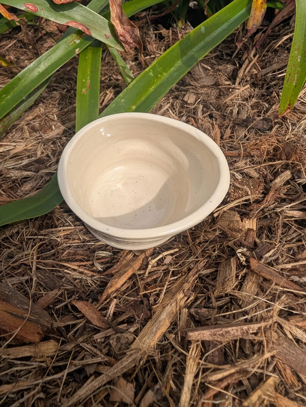 The Littlest Wobble — view 2