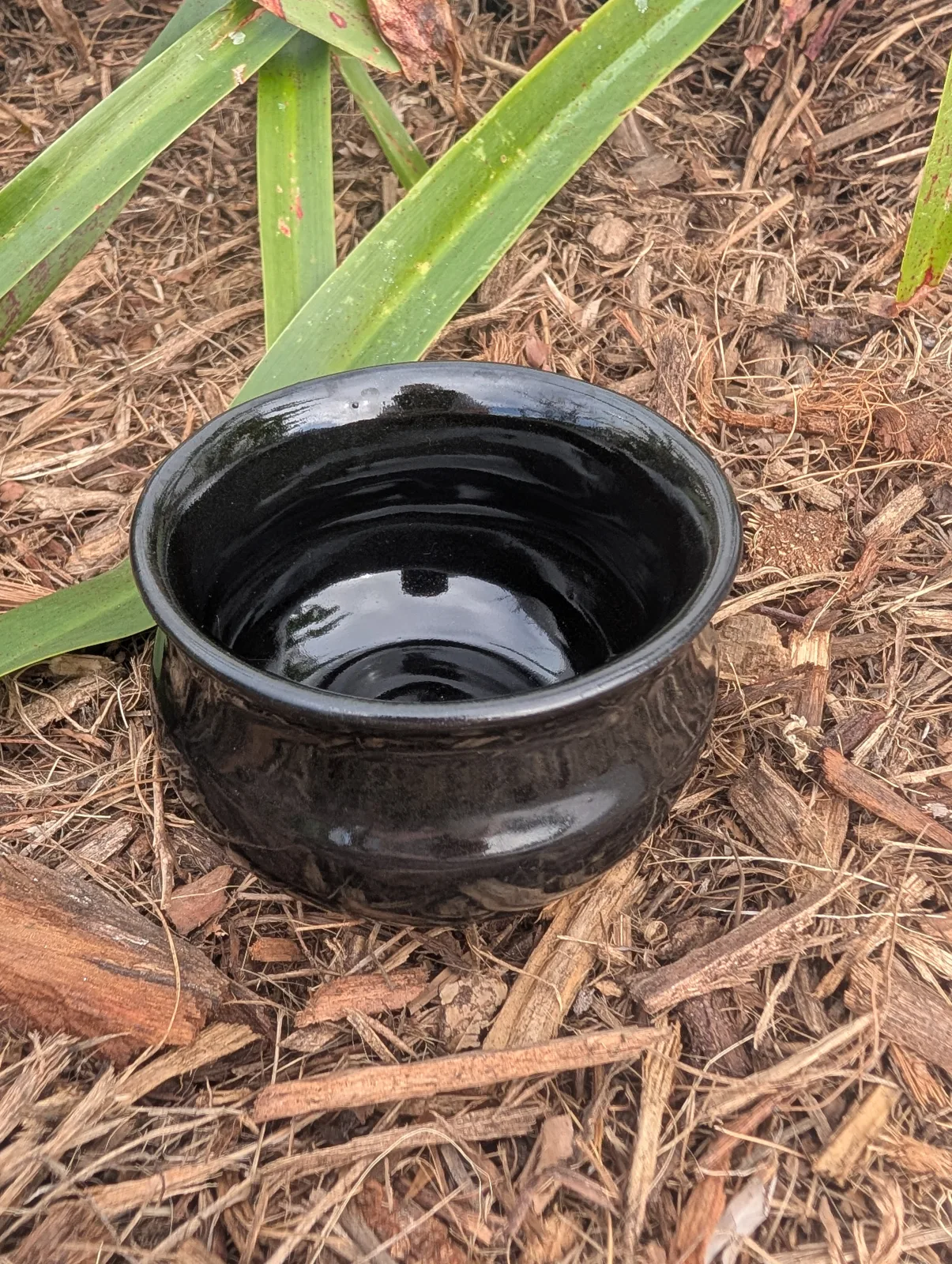 Pocket Cauldron — view 2