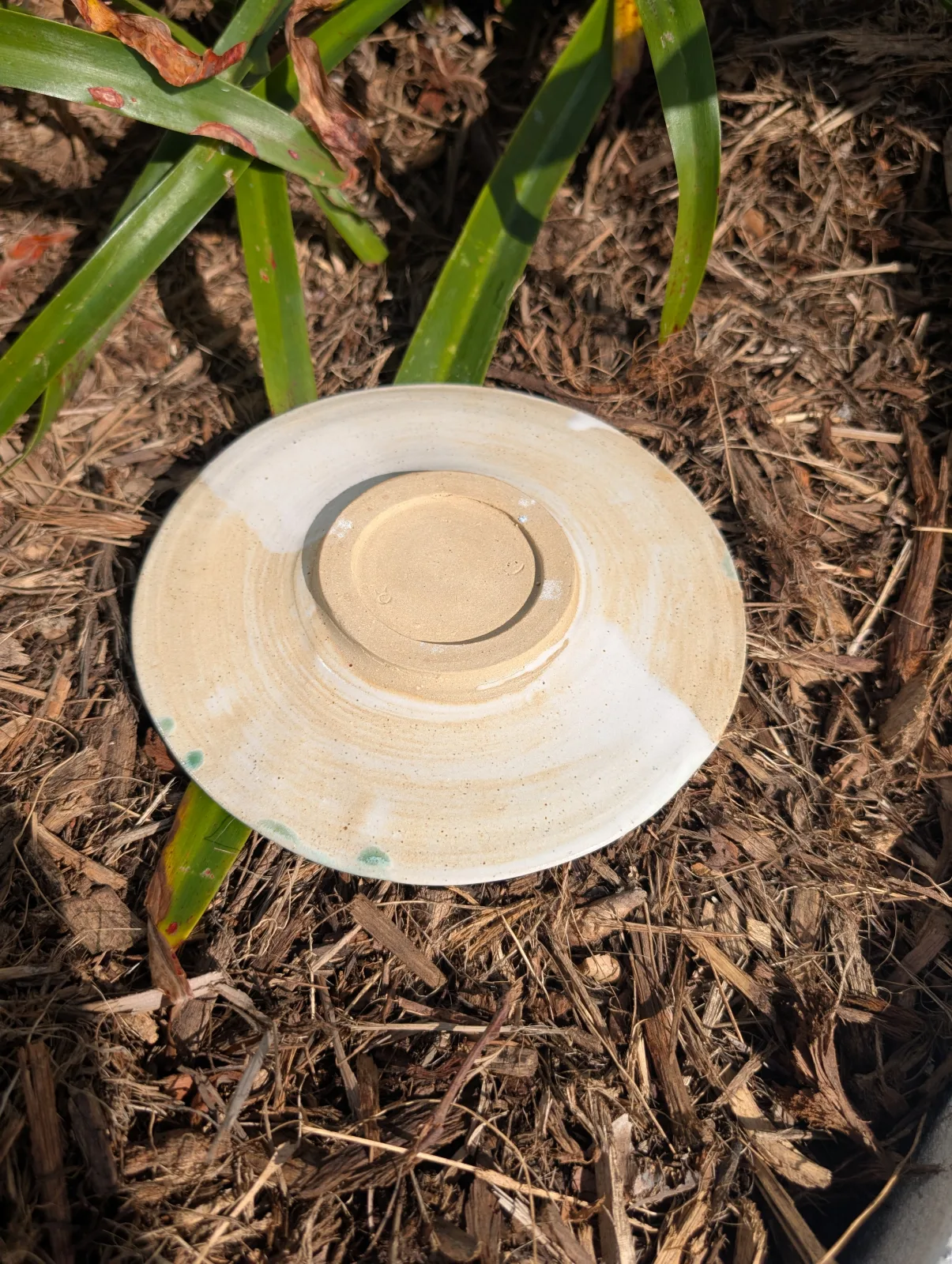 Lily Pond — view 2