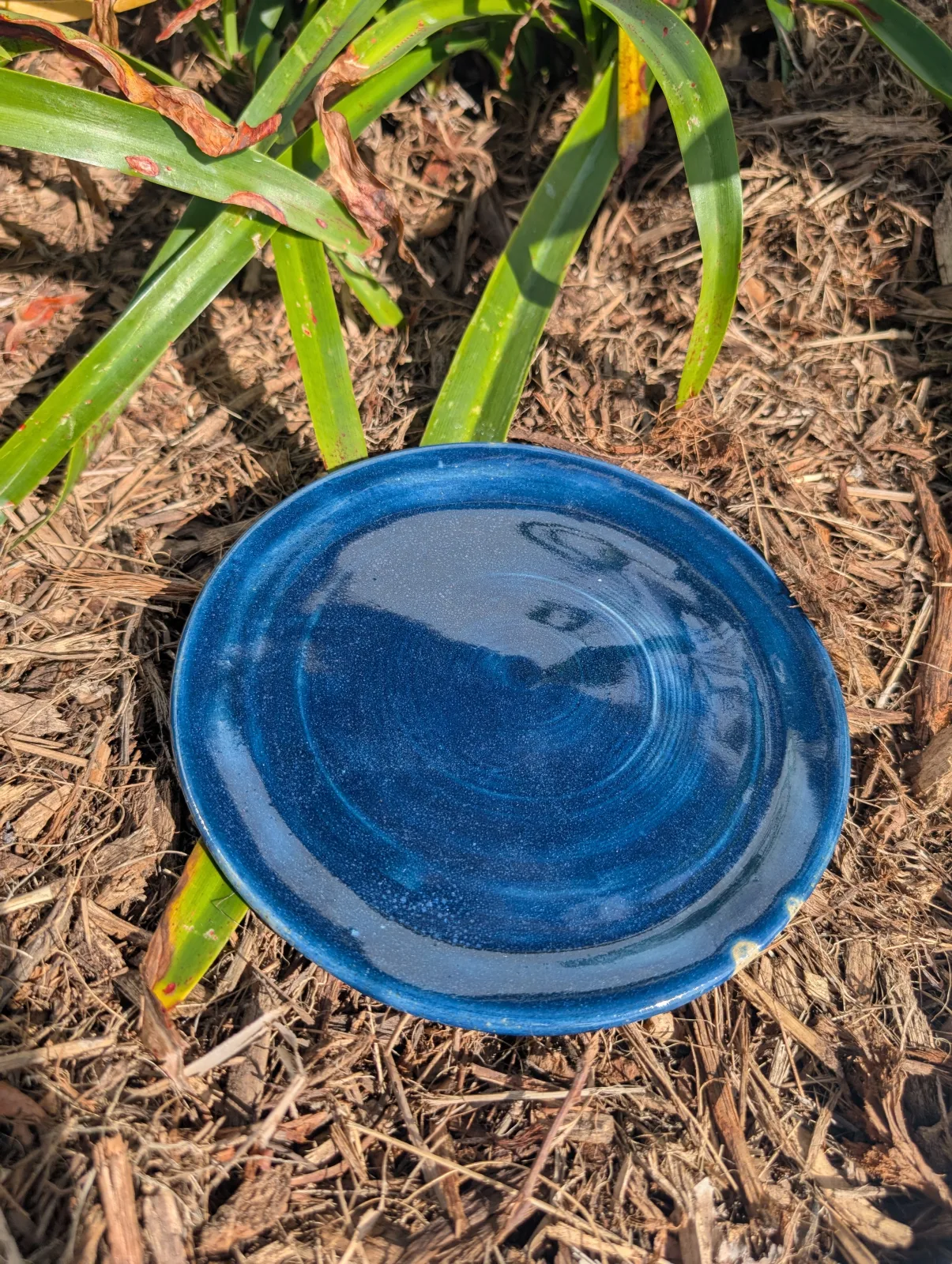 Plate Expectations — view 2