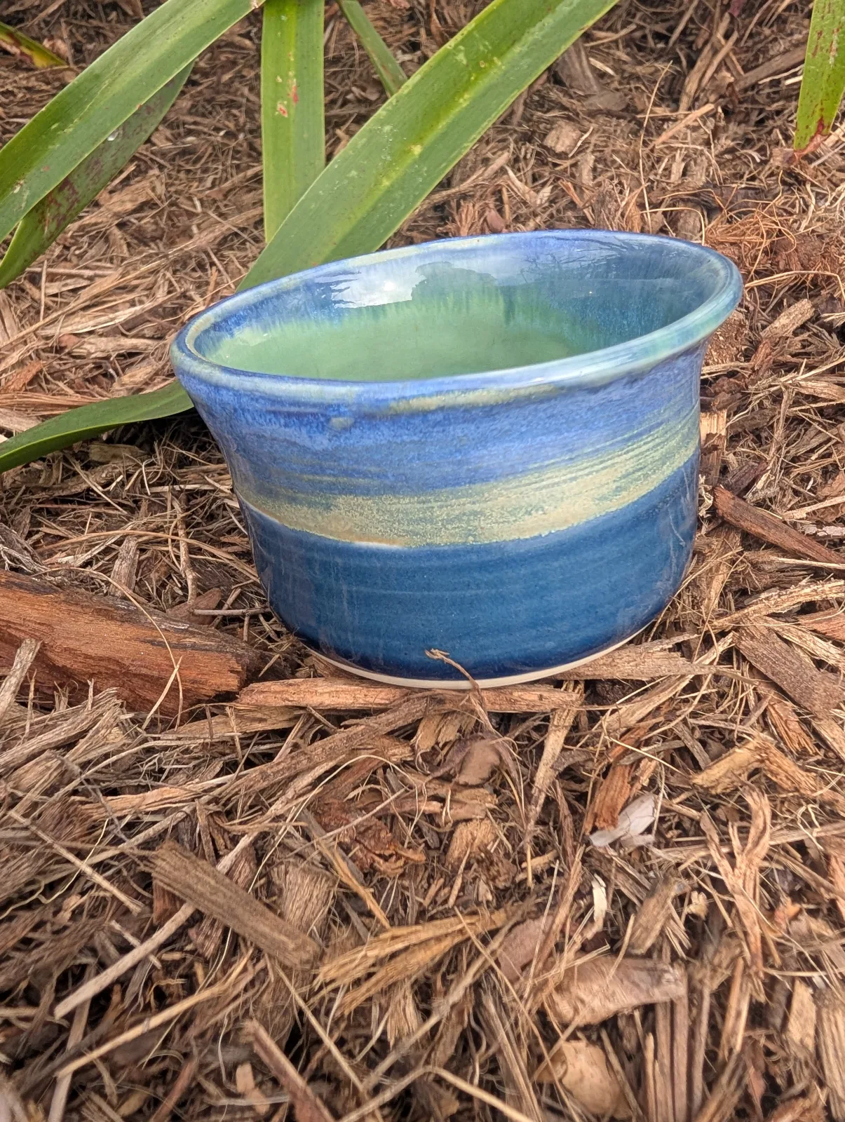 Rockpool — view 3