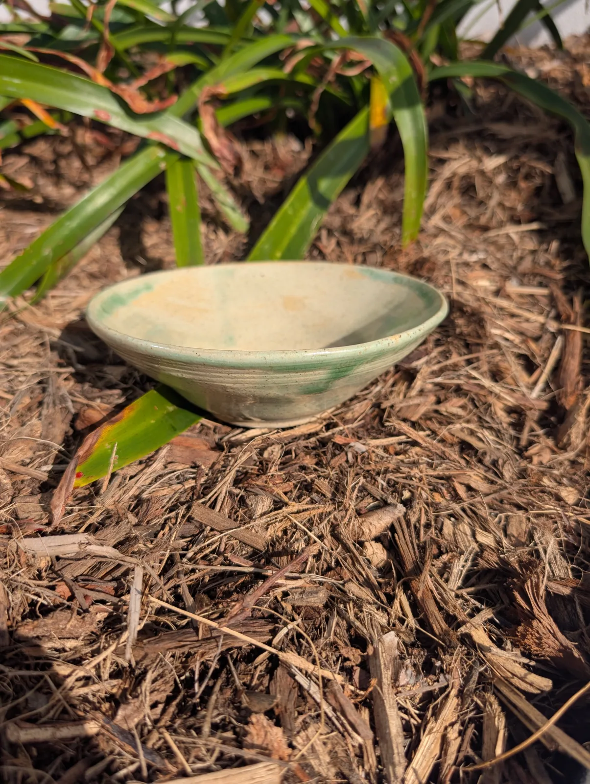 Pistachio Swirl — view 2