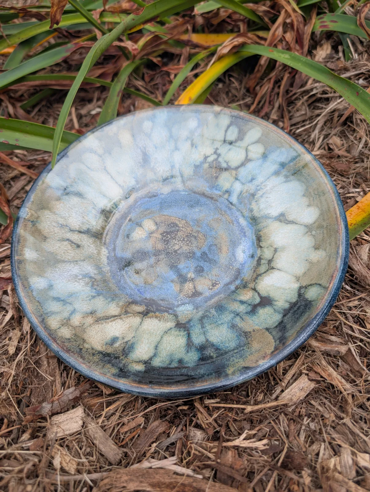Full Bloom — view 6