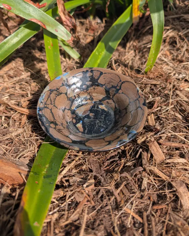 Bubbleburst Dish