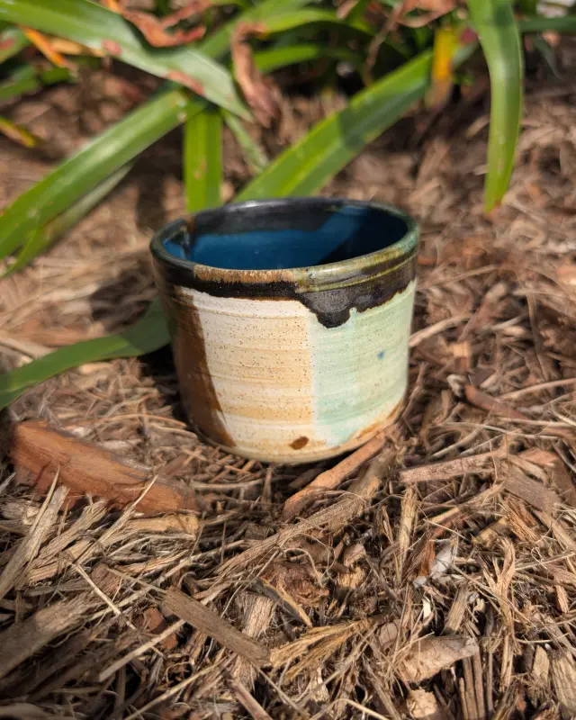 Paintbox Cup