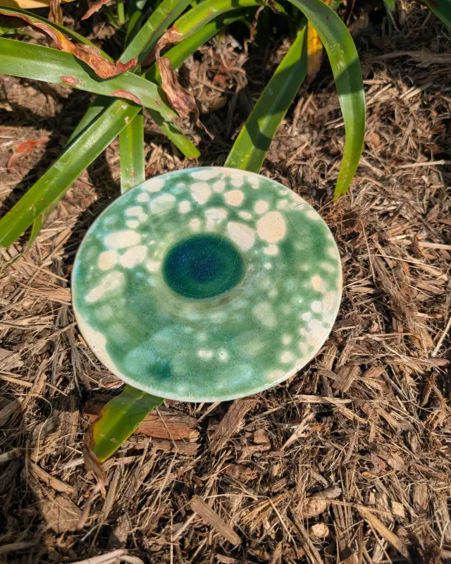 Lily Pond