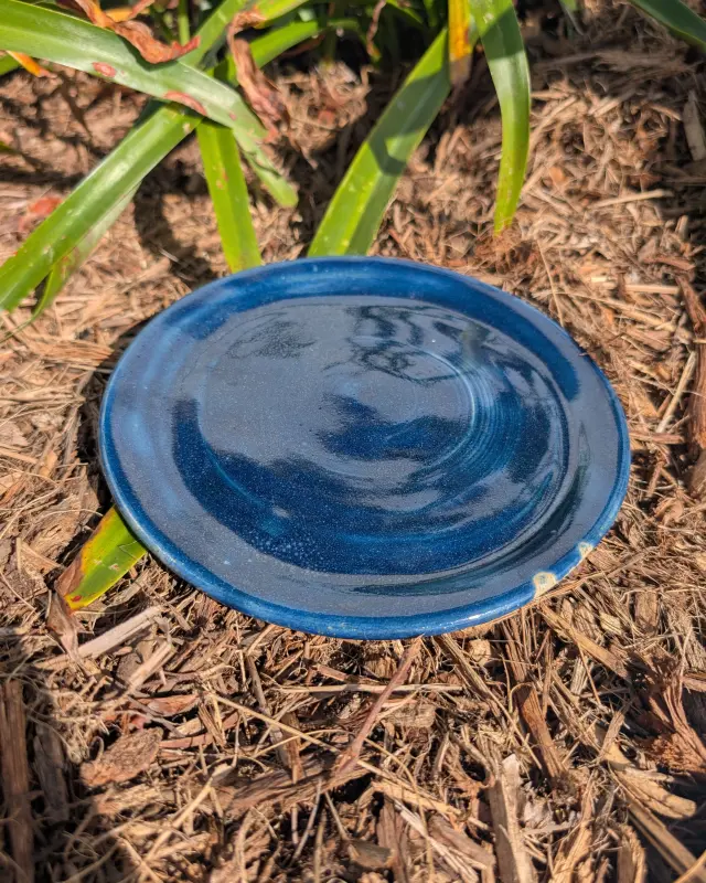 Plate Expectations