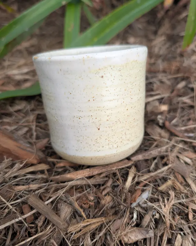 Vanilla Bean