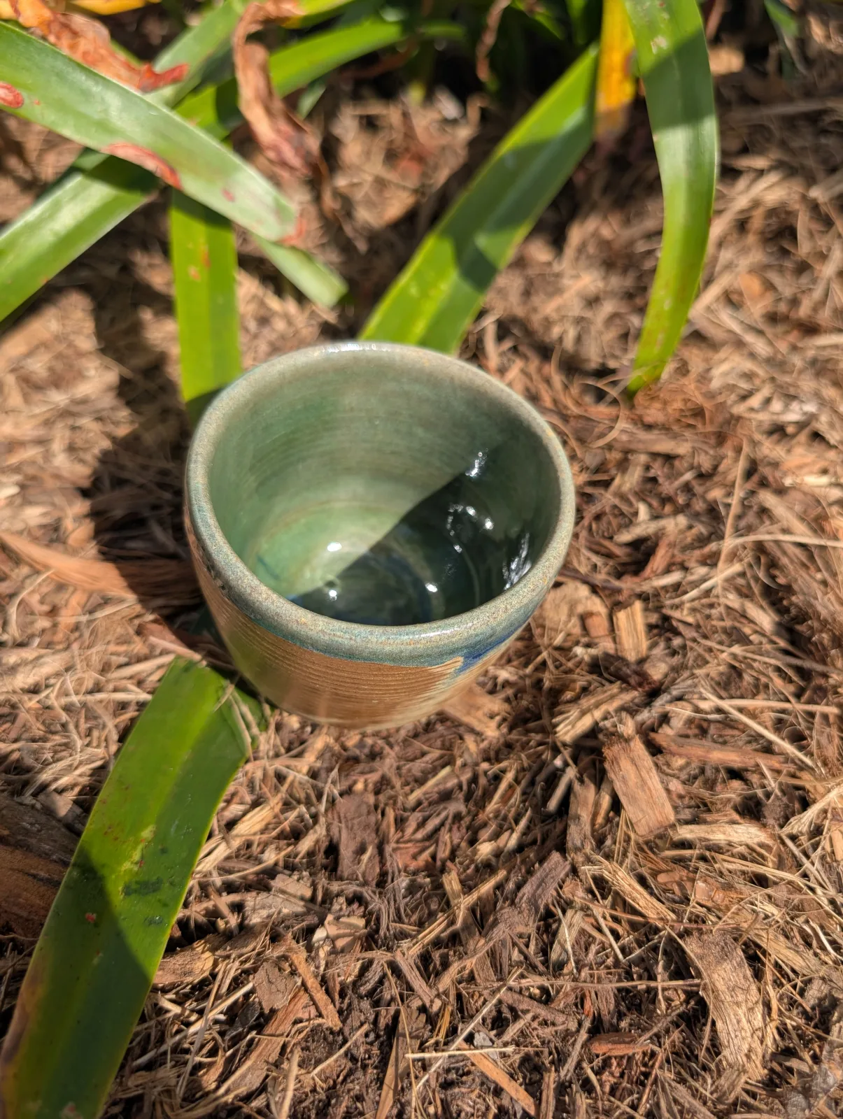 Caramel & Moss — view 2