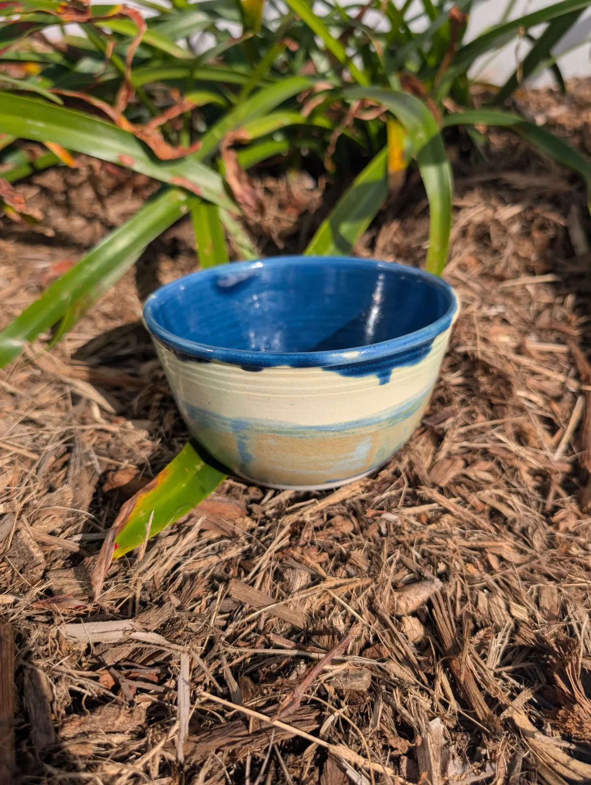 Blue Hour — view 2
