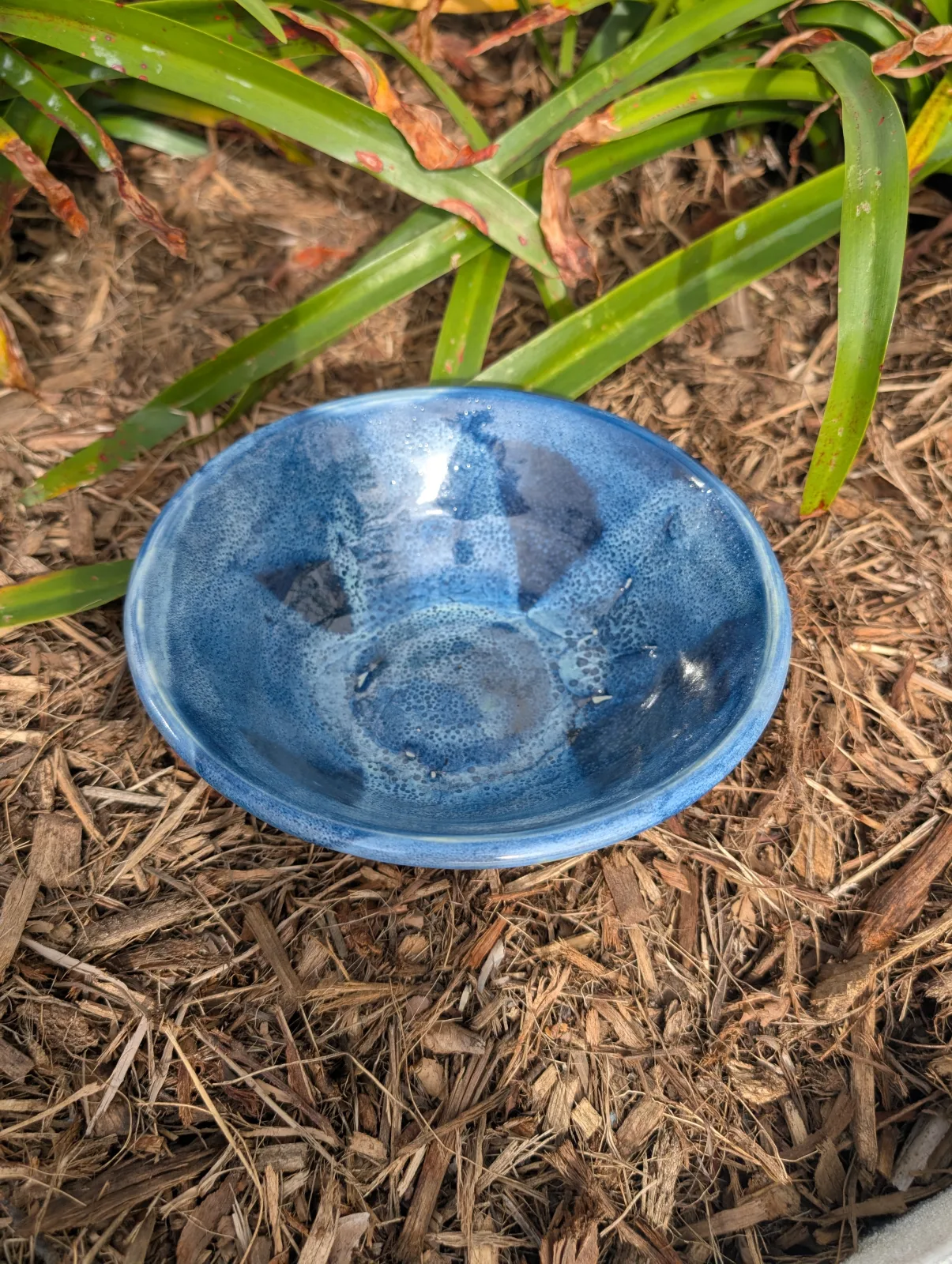 First Frost — view 2